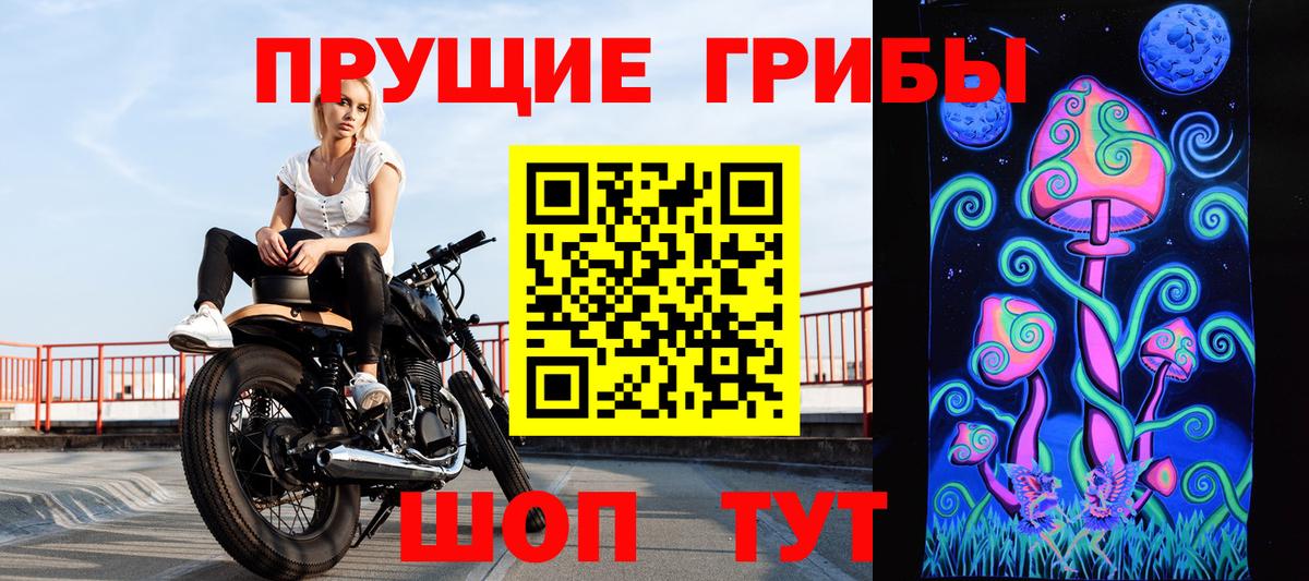 Псилоцибиновые грибы прущие грибы Урюпинск